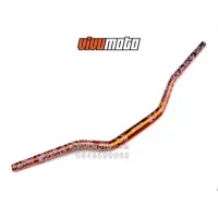 Ảnh 11
