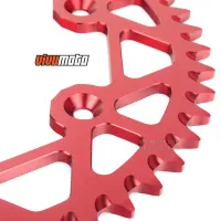 Ảnh 6