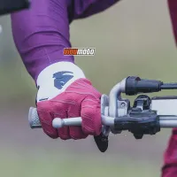 Ảnh 3