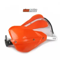 Ảnh 7
